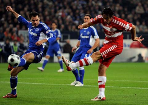 新一代羽毛 新一代羽毛